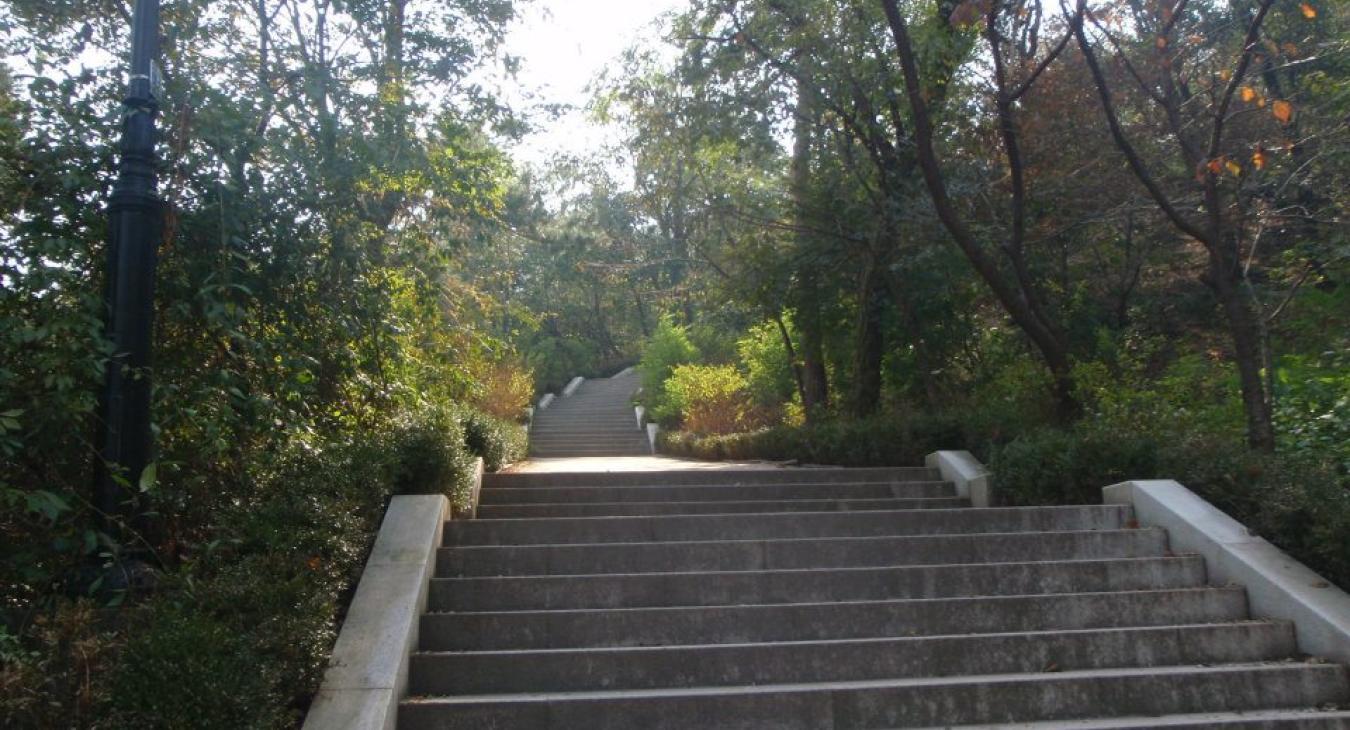 Stairs up a hill in a city park