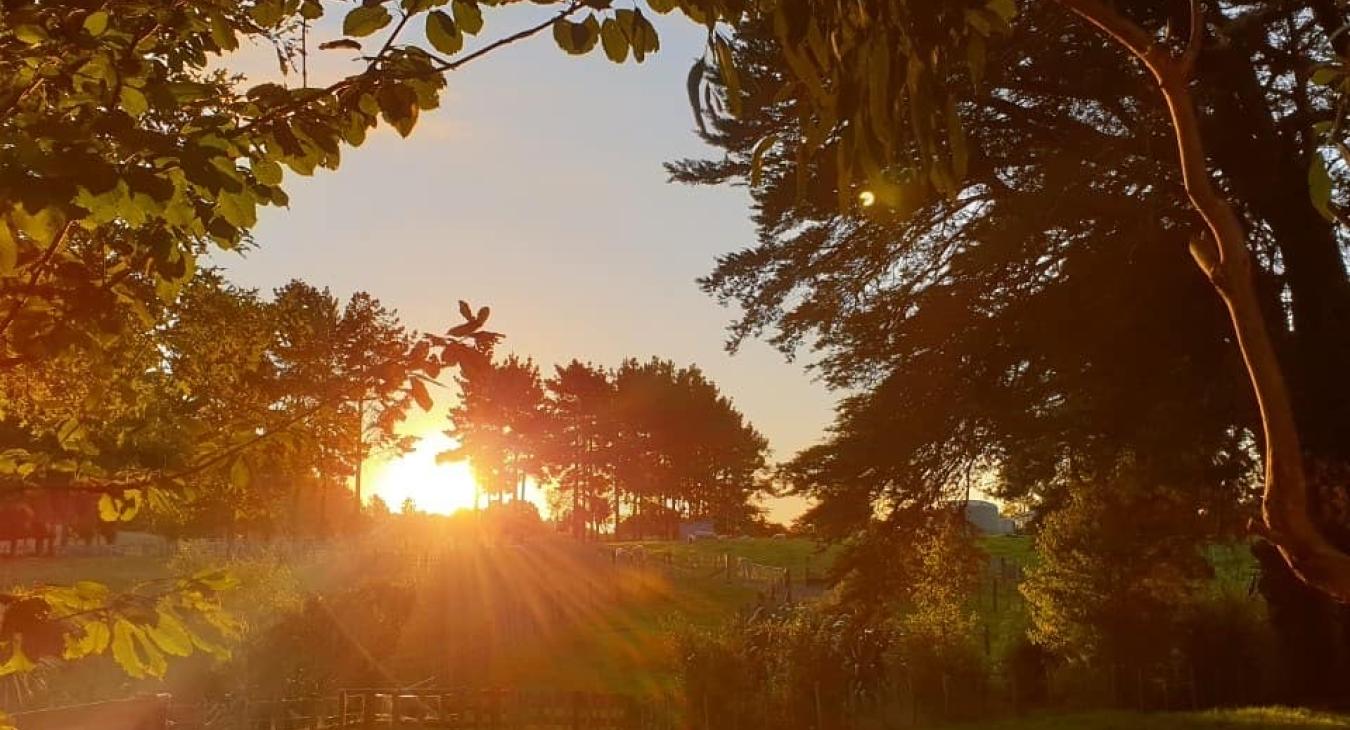 Full moon in the sky