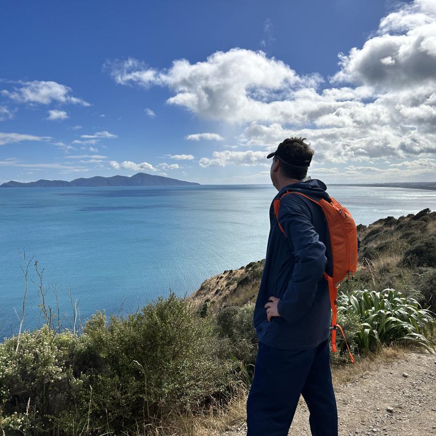 Looking at Kapiti Island