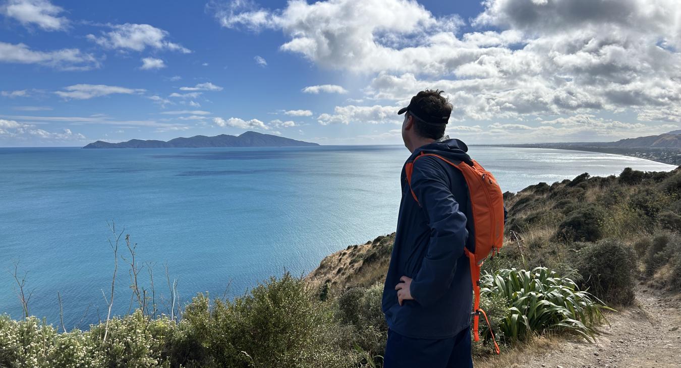 Looking at Kapiti Island